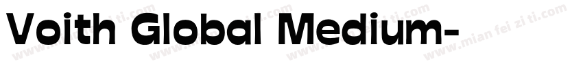 Voith Global Medium字体转换